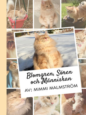 cover image of Blomgren, Sören och Människan
